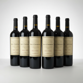 Kit 6 Vinhos D.V Catena Malbec Malbec
